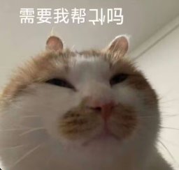 傑尼夫